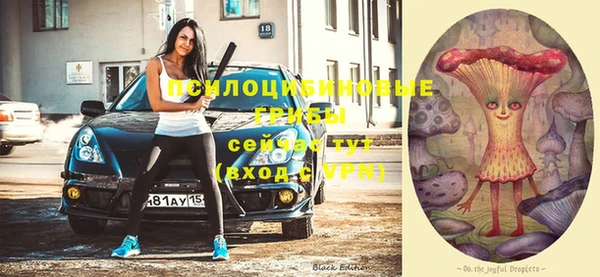 крисы Аркадак