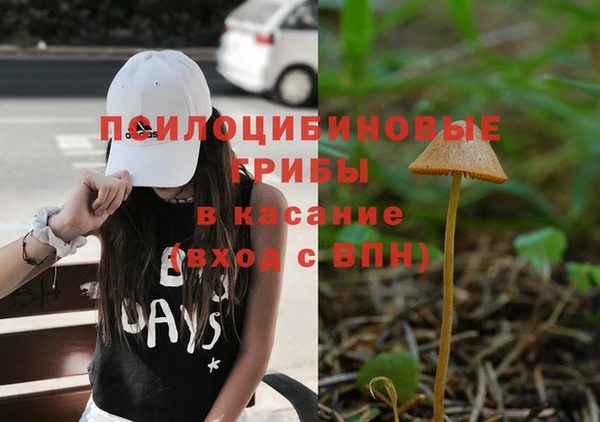 бошки Семикаракорск