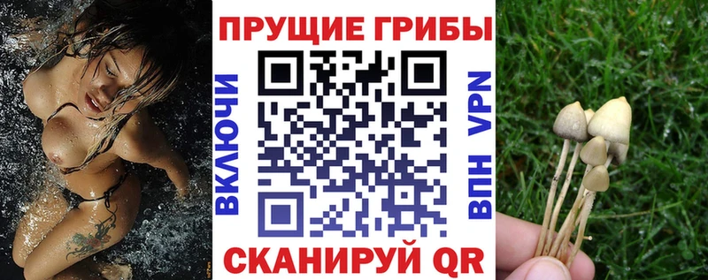 Псилоцибиновые грибы MAGIC MUSHROOMS  Тамбов 
